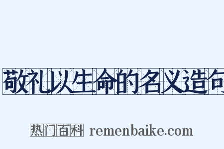 敬礼以生命的名义造句是什么意思的图片
